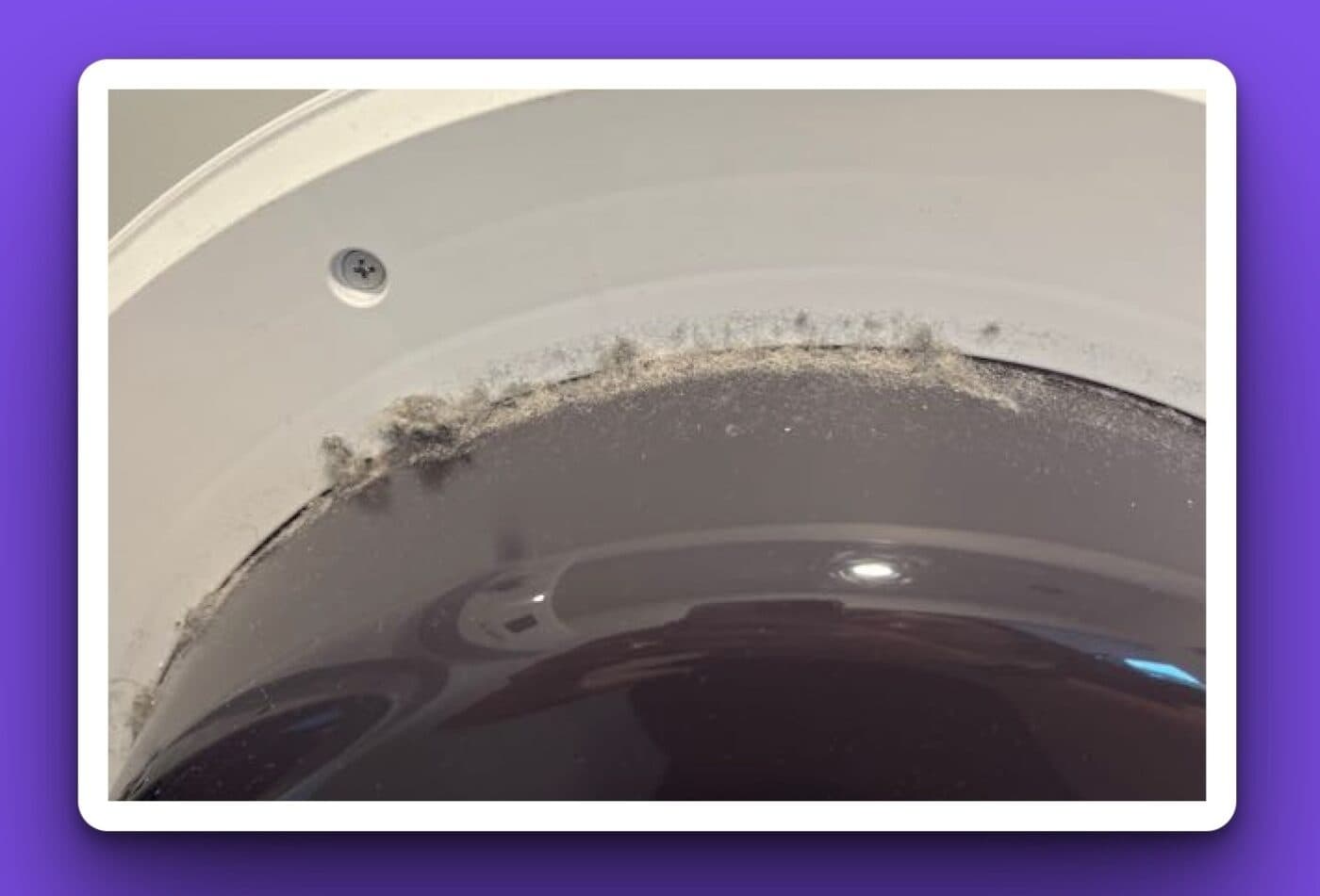 Drier door