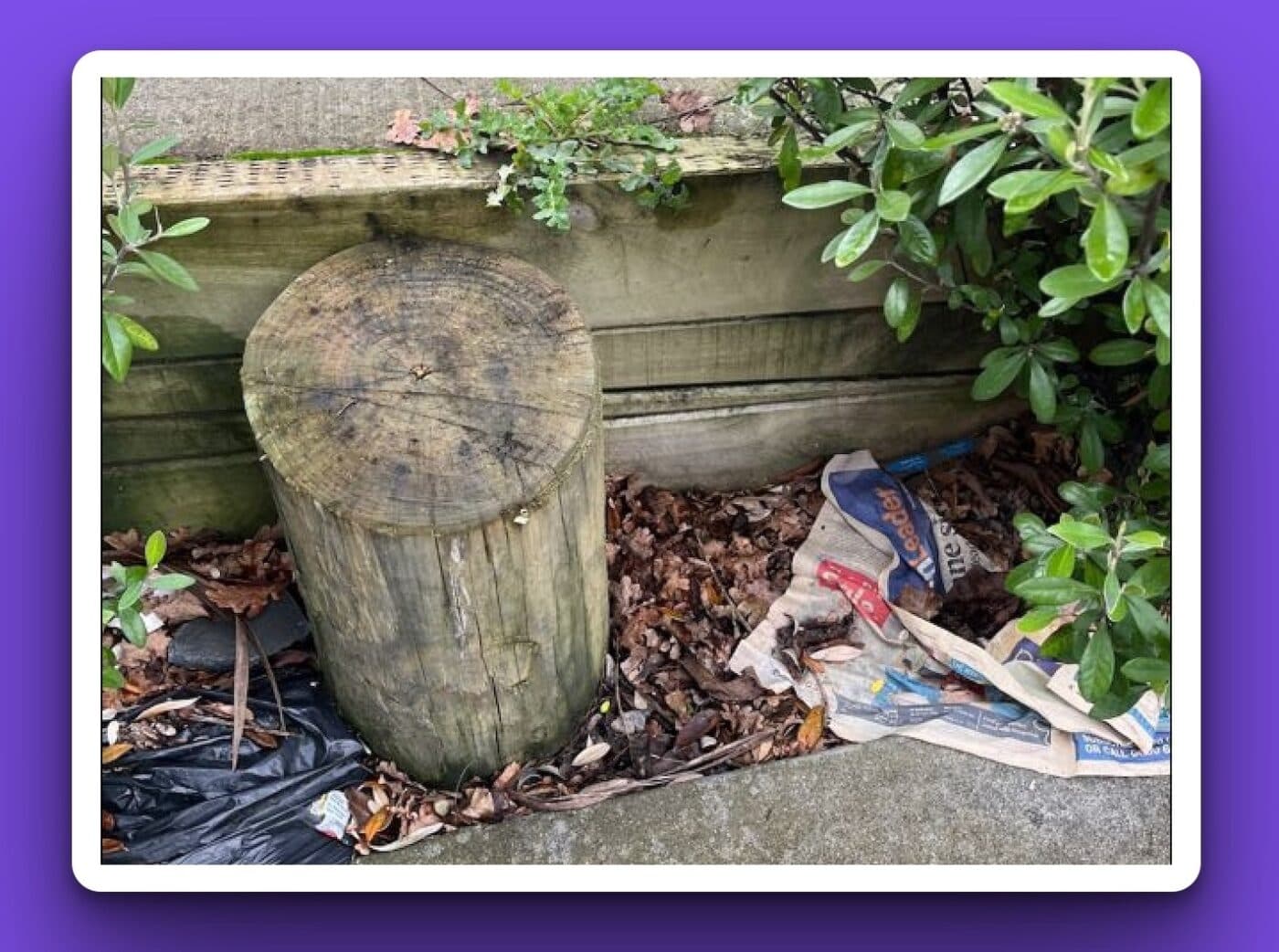 Rubbish outside