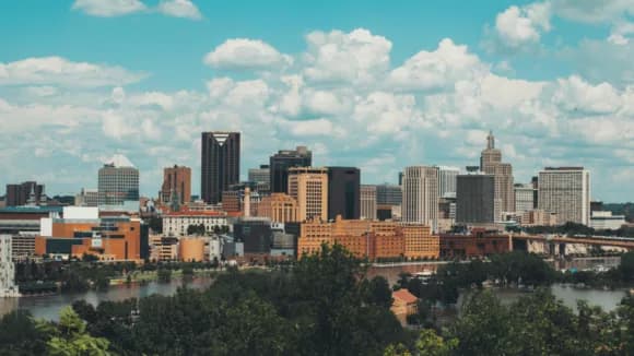 Wellington Property Market