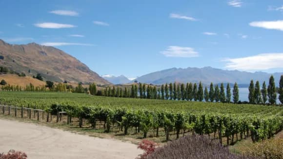 Otago min
